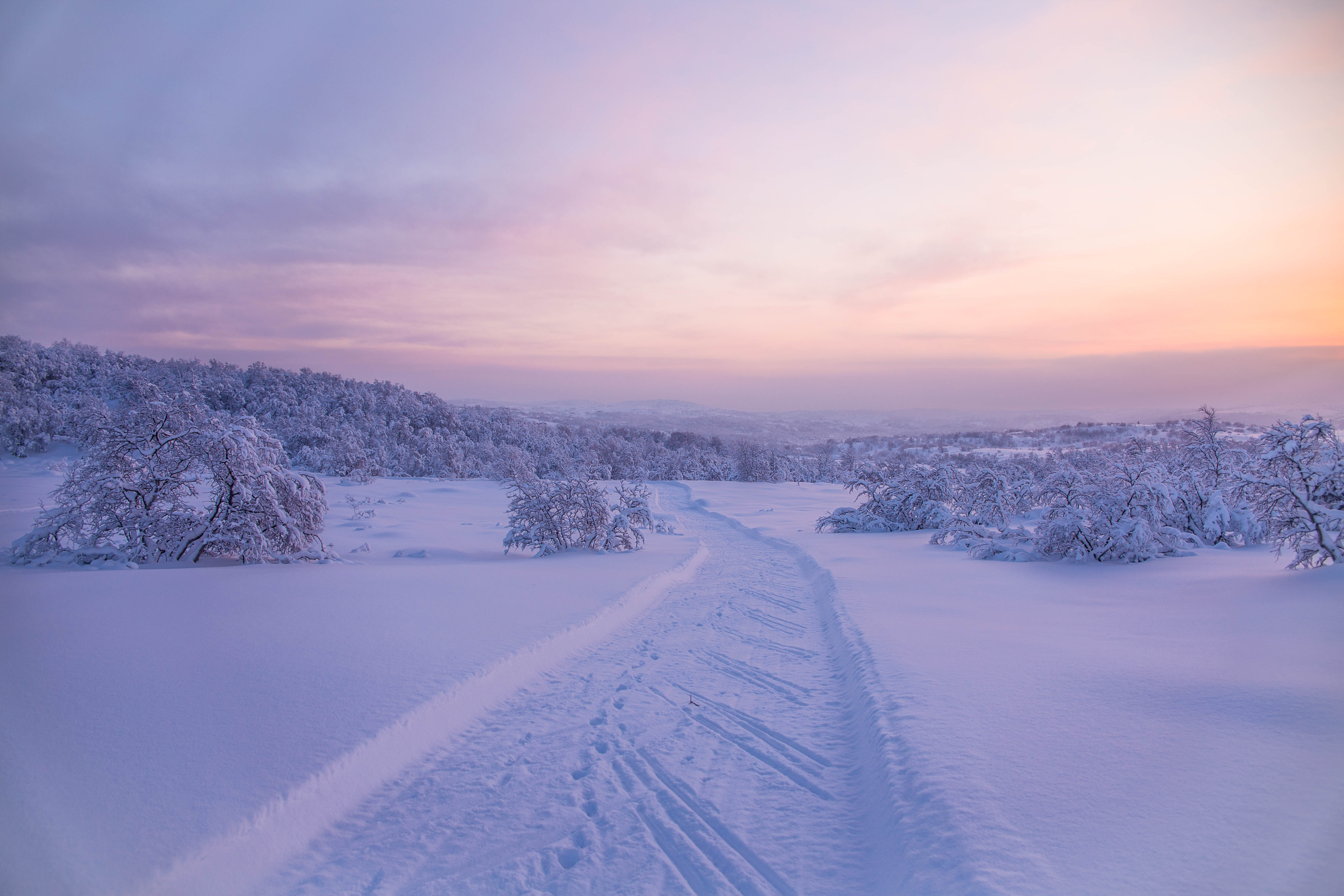 зима, пейзаж, winter, landscape, мороз, кольский край, деревья, закат, солнце, Алёна Салтыкова