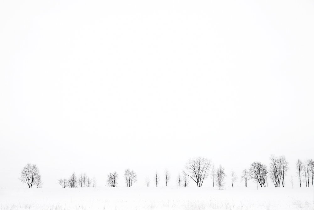 штрихкод, пейзаж, зима, чб, Aleksandr Kljuchenkow