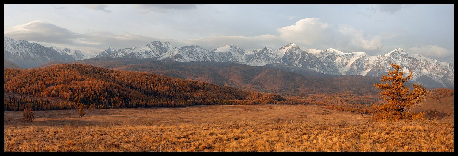 алтай, южно-чуйский хребет, горы , осень, Виктория Роготнева