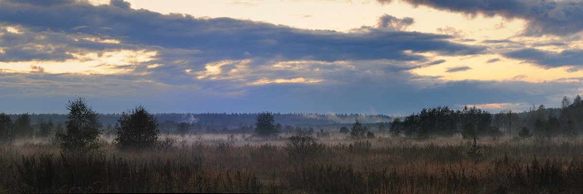 закат.туман.облака.деревья.вечер.панорама., Вадим