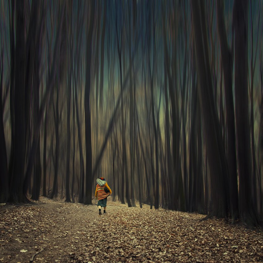 old, woman, tree, forest, leaf, walk, alone, mist, Caras Ionut