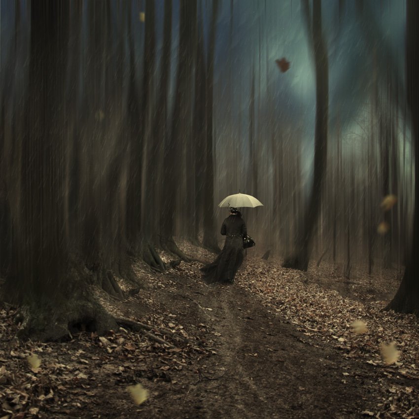 woman, rain, forest, leaf, wind, blue, autumn, umbrella, black, alone, Caras Ionut