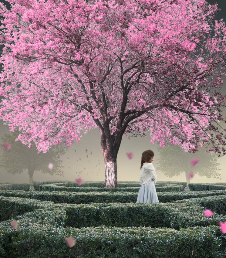 pink, lady, walking, tree, round, bush, mist, legendary, Caras Ionut