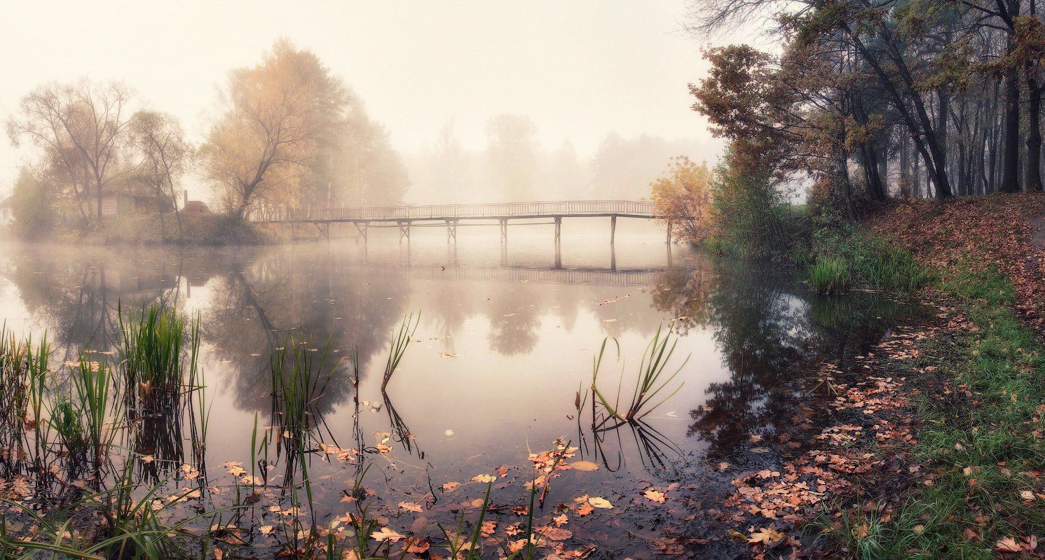 belarus, autumn, fog, lake, беларусь, осень, туман, озеро, Алексей Угальников