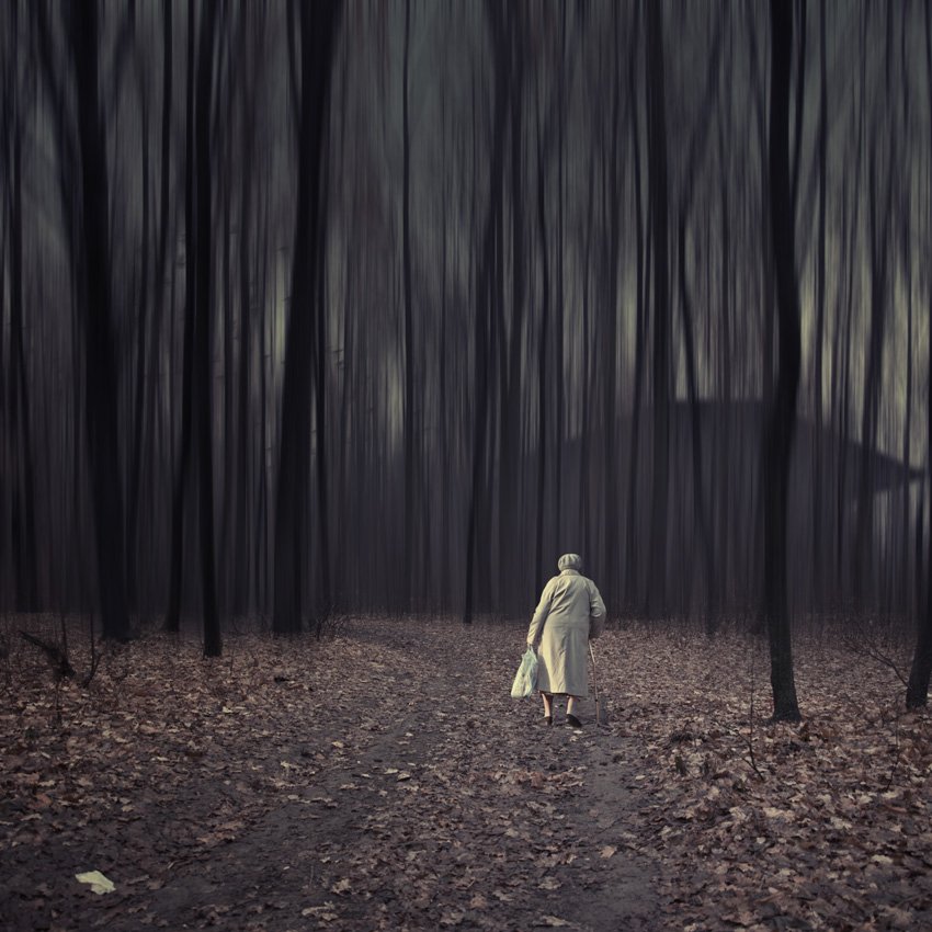 old, woman, forest, tree, leaf, alone, house, Caras Ionut