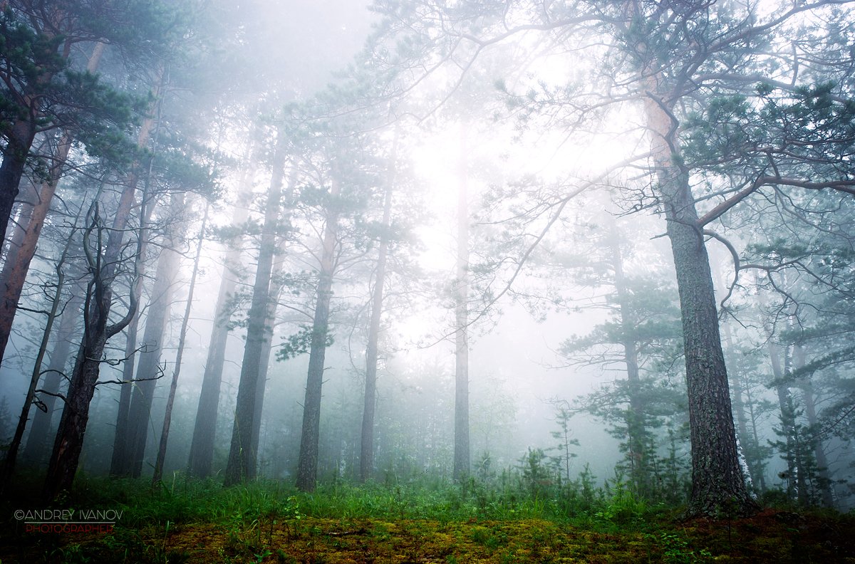 пейзаж природа кемеровская область туман утро, Андрей Иванов