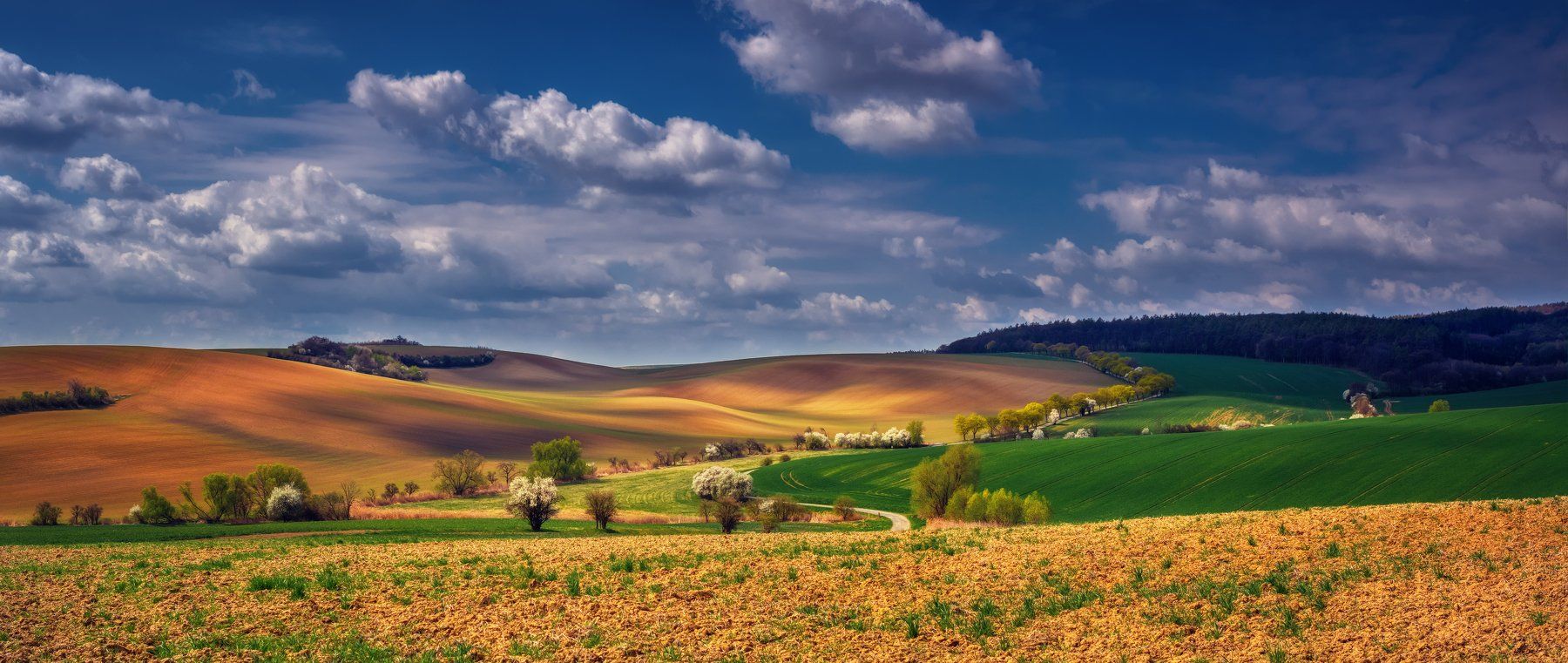 Чехия Южная Моравия небо облака весна поля пейзажи путешествия природа деревья трава, Андрей Ожерельев
