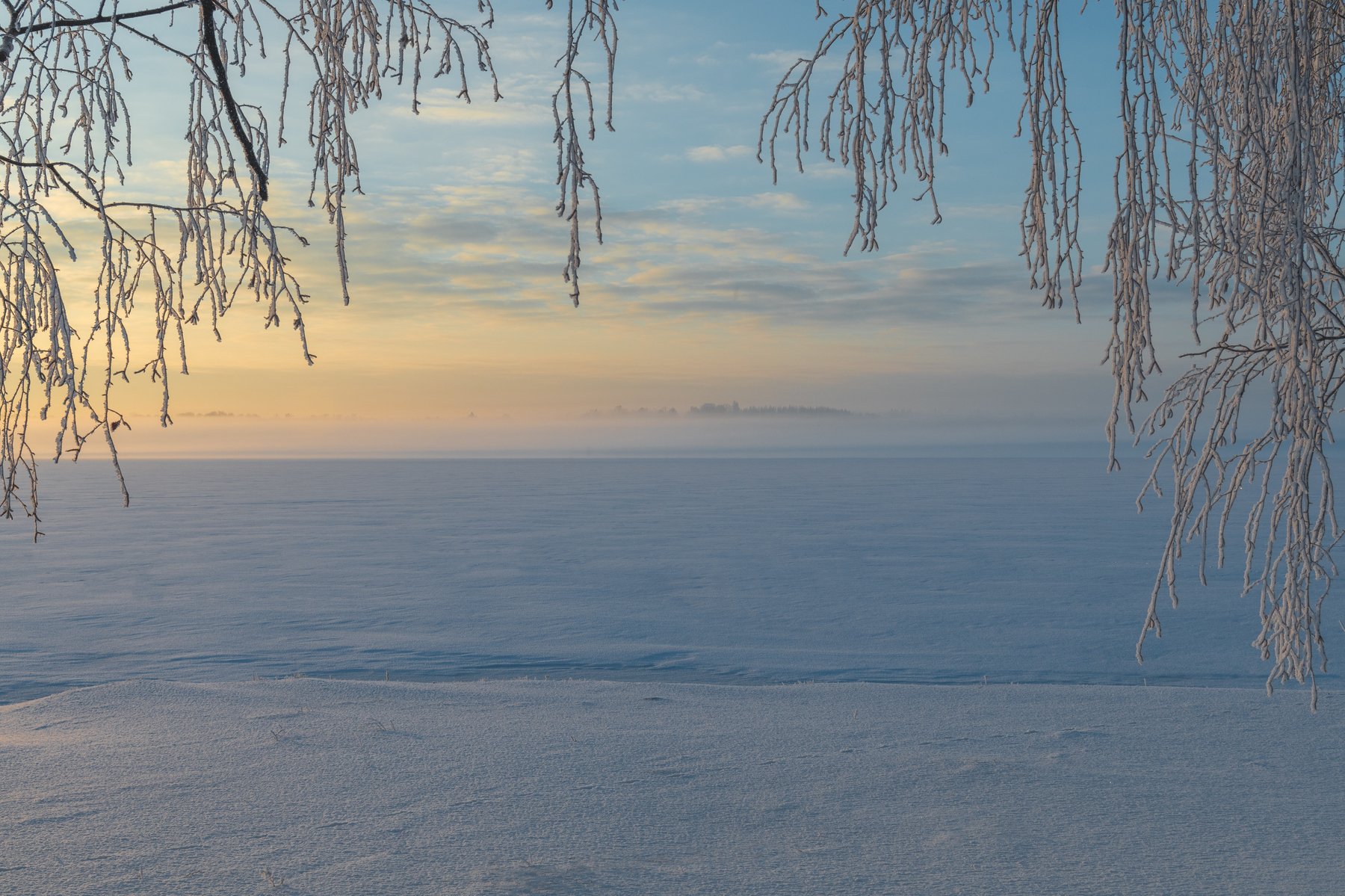 #пейзаж #природа #рассвет #зима #мороз #деревья #туман #снег, Дмитрий Рябцев