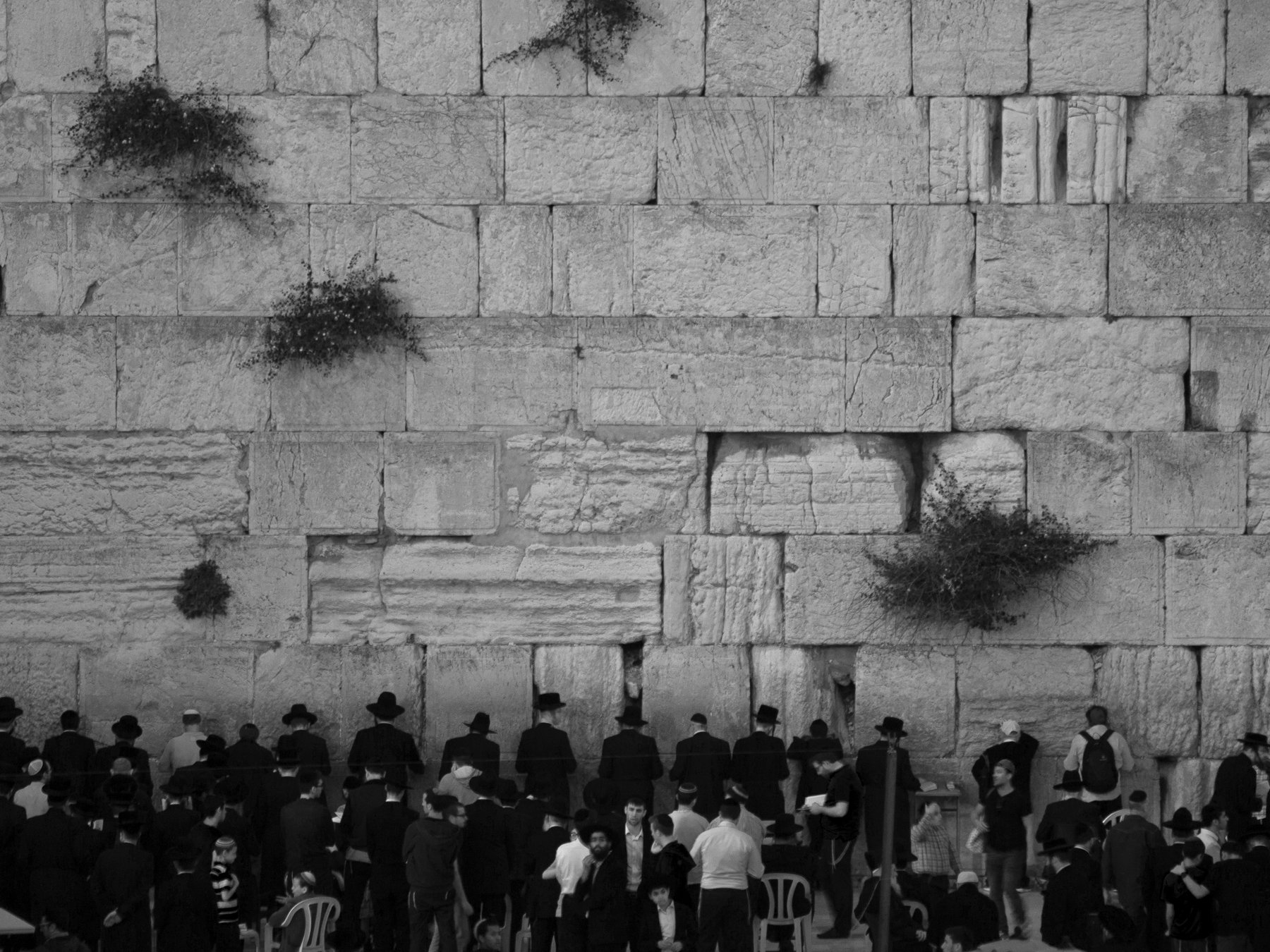 Jerusalem, Israel, Black and white, Western Wall, Prayers, Holy, Monochrome, Elena Beregatnova
