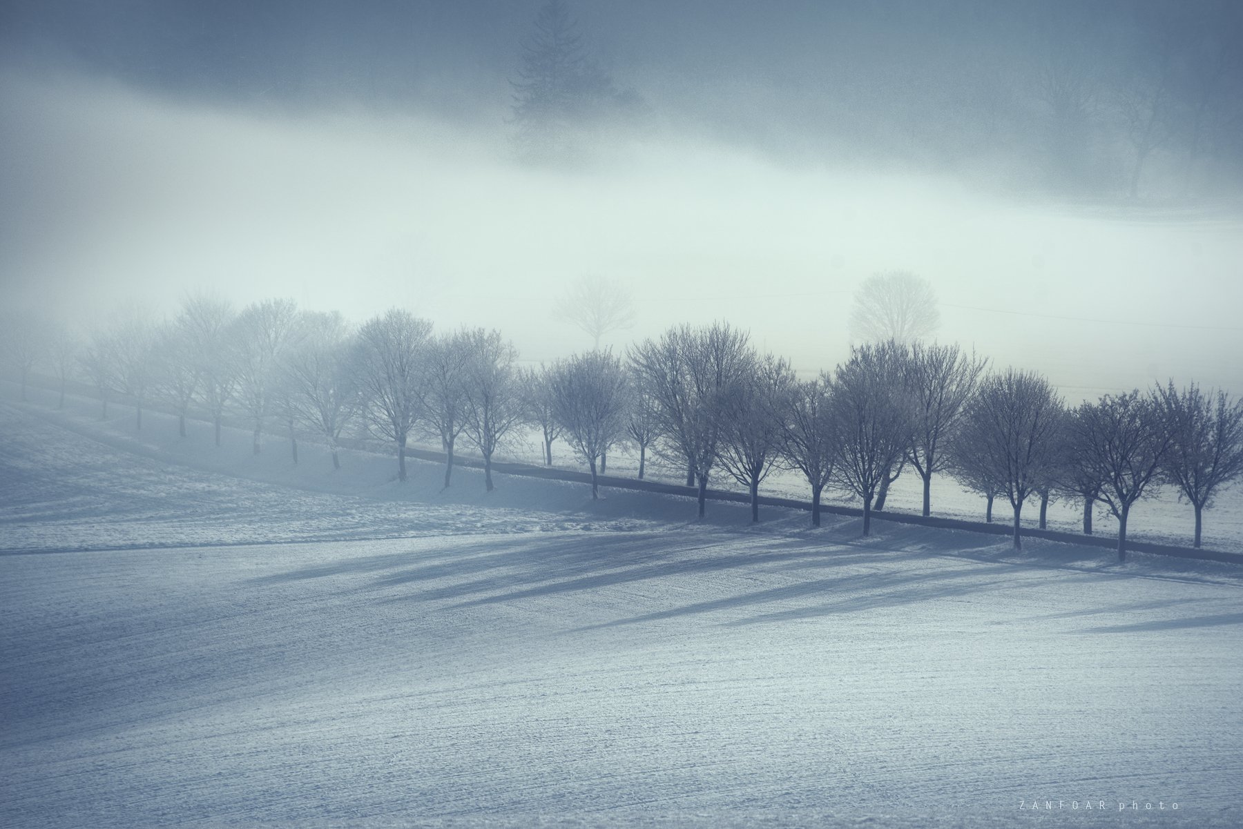 скользящий туман,fog,roling,winter,snow,tees,misty,haze,zanfoar,czech republic,bohemia,moravia,nikon d750,nikon,чехия, Zanfoar