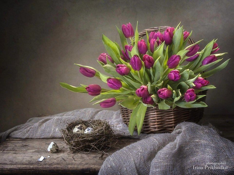 натюрморт, цветочный, корзина ,  тюльпаны, перепелиые яйца, винтажный натюрморт, Ирина Приходько