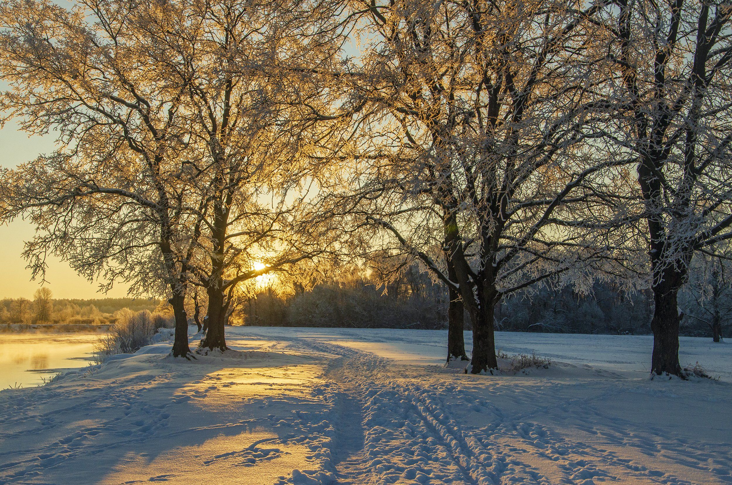 nevant60, пейзаж, красота, андреевский луг, утро, мороз, Александр Березуцкий