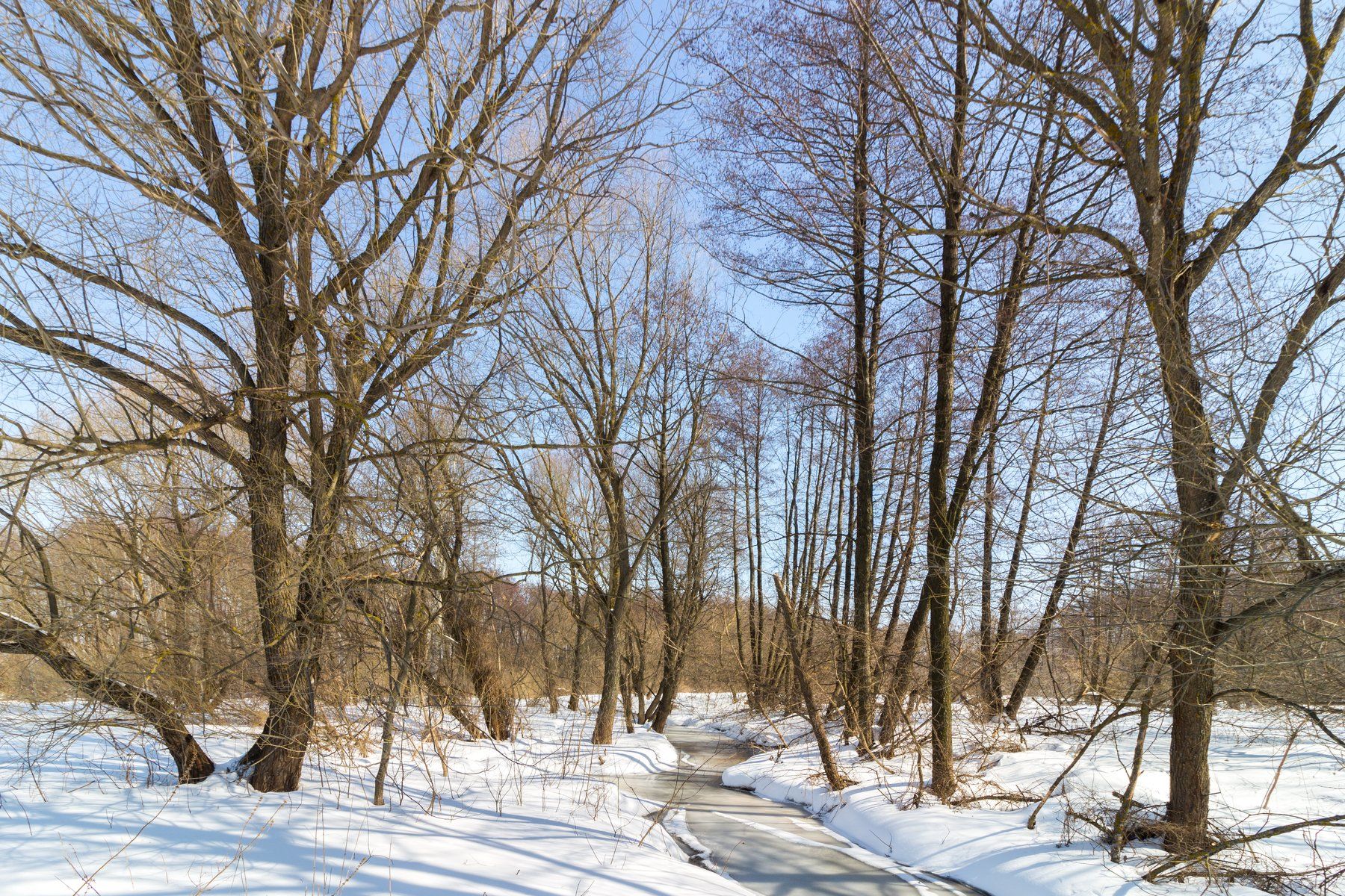 зима, лес, река, усмань, снег, Руслан Востриков
