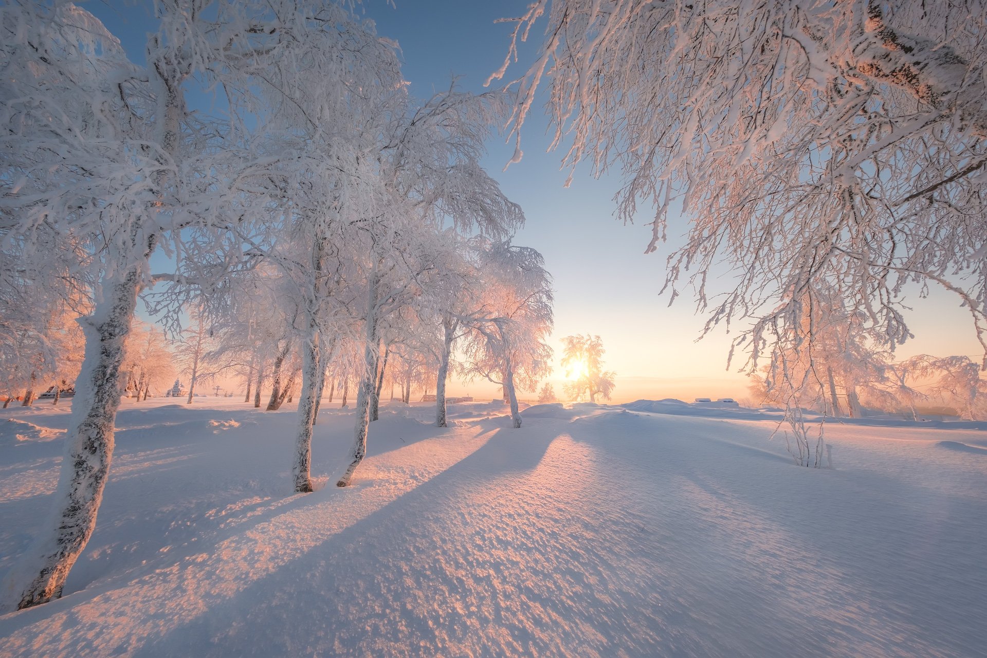 белая гора, деревья, пейзаж, зима, рождество, снег, мороз, метель, пурга, холод, белый, утро, рассвет, Андрей Чиж