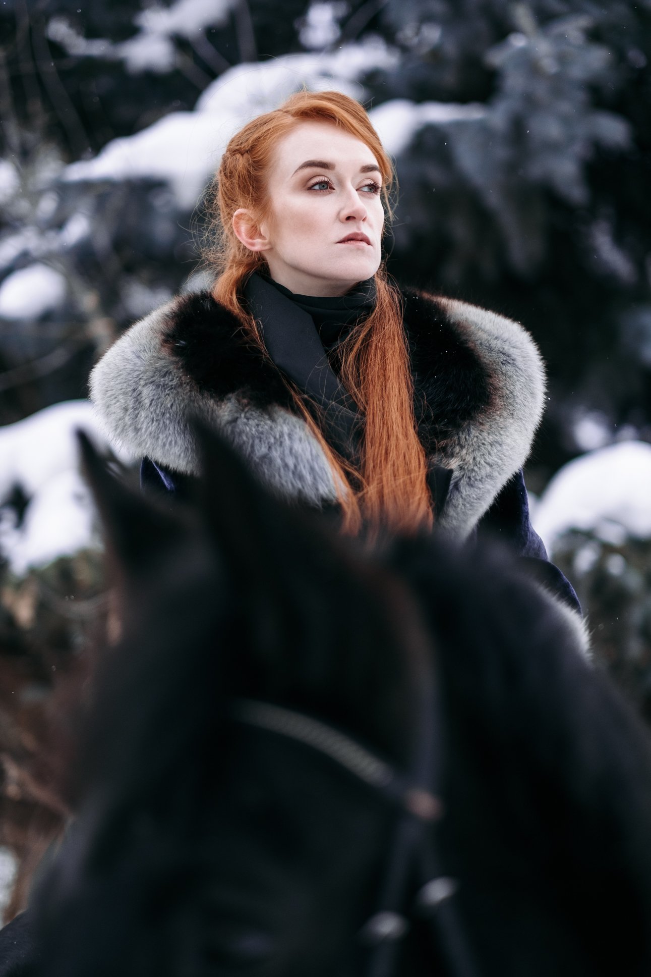 redhead, portrait, snow, winter, horse, fujifilmru, fujifilm, mirrorless, xtrance, Кирилл Соколов