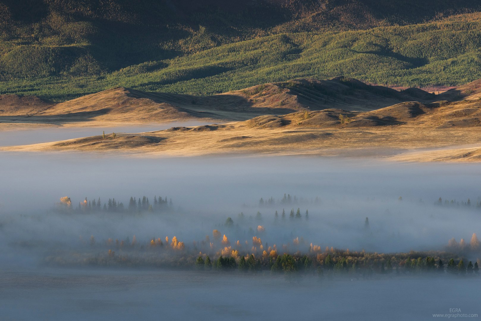 сибирь, алтай, курай, altai, altay, siberia, EGRA