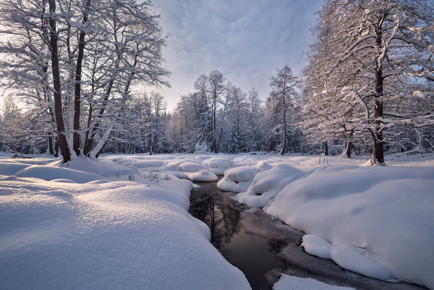 зима,лес,снег,река,мороз, Виталий Полуэктов