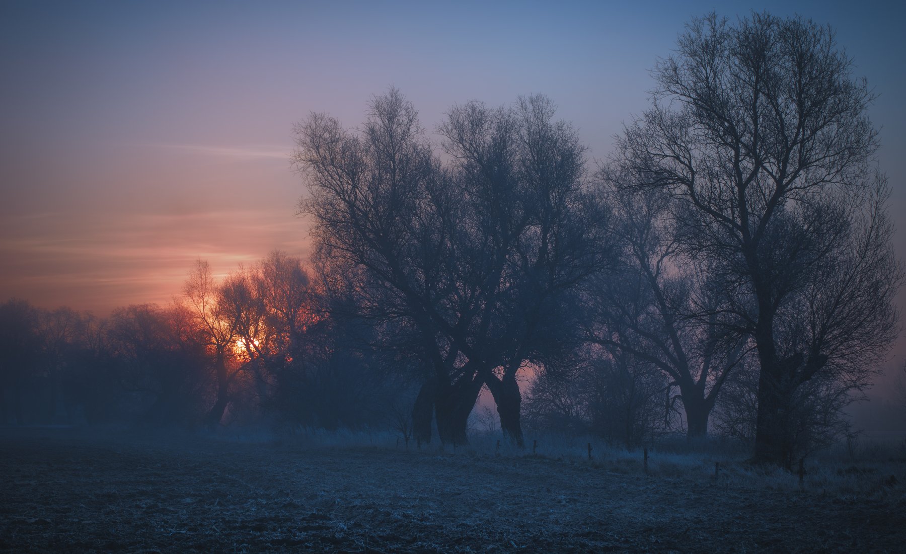 daybreak,fog,trees,nature,nikon,sky,clouds,sun,winternlandscape,mist,dawn,light,sunrise,, Krzysztof Tollas