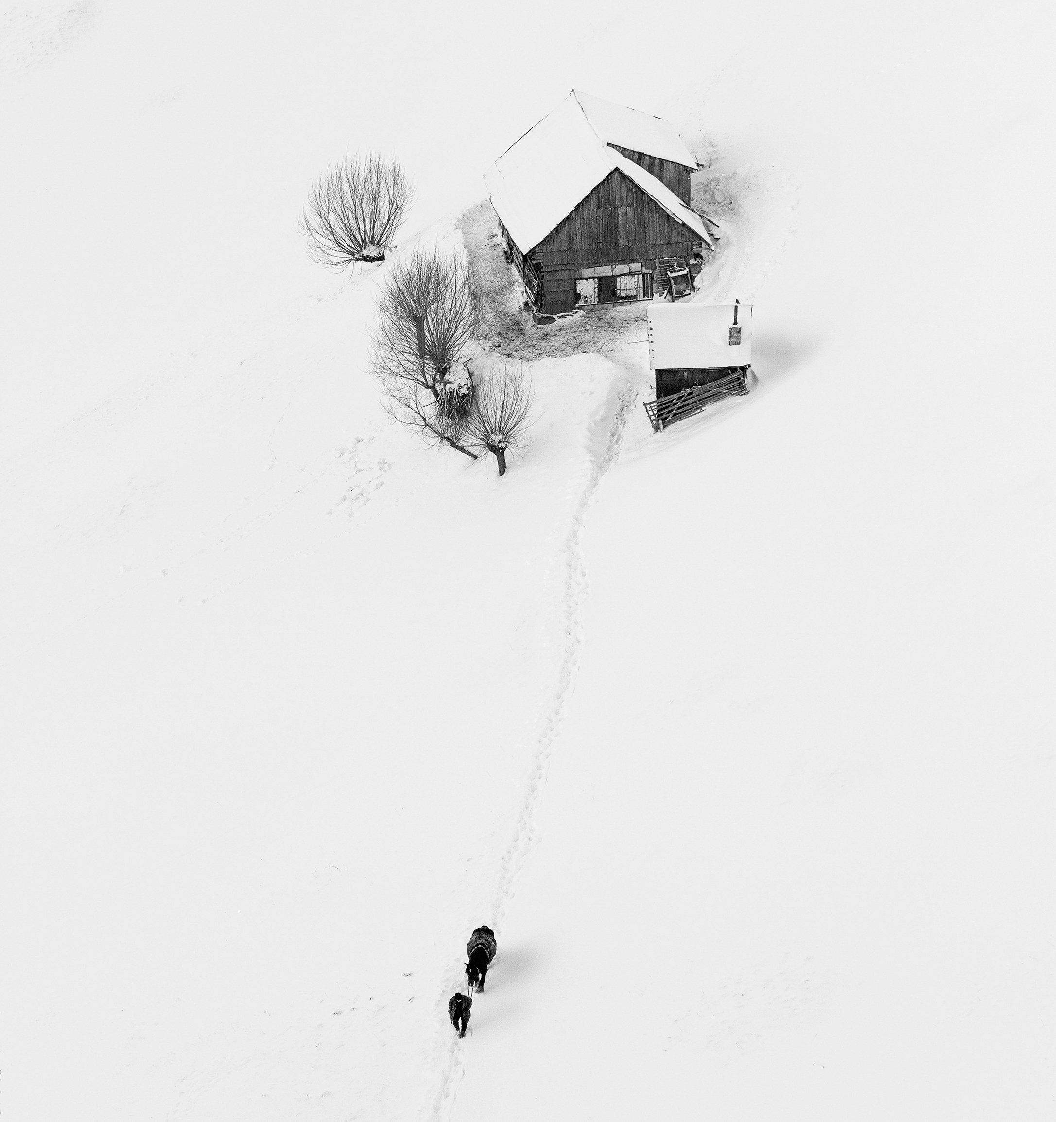 winter, trees, horse, snow, landscape, travel, nature, mountain, romania, cold, people, Lazar Ioan Ovidiu