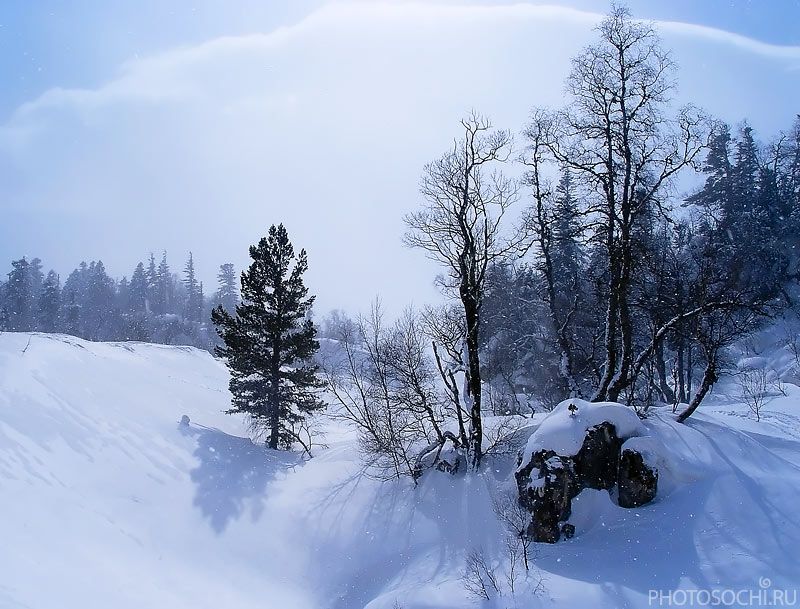 зима, горы, снег, лес, лагонаки, азиш-тау, photosochi.ru, Евгений Харланов