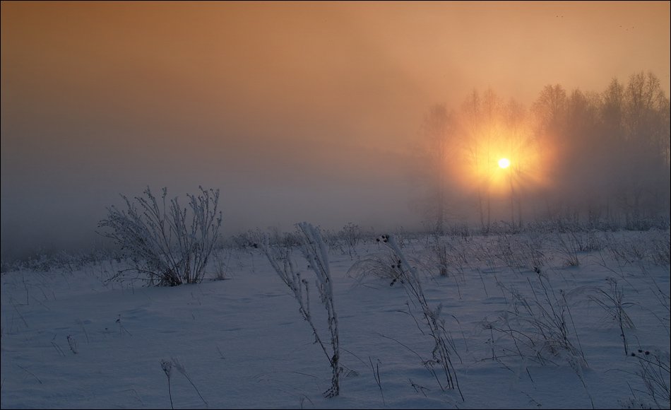 туман, солнце, закат, зима, снег, Ann Miller