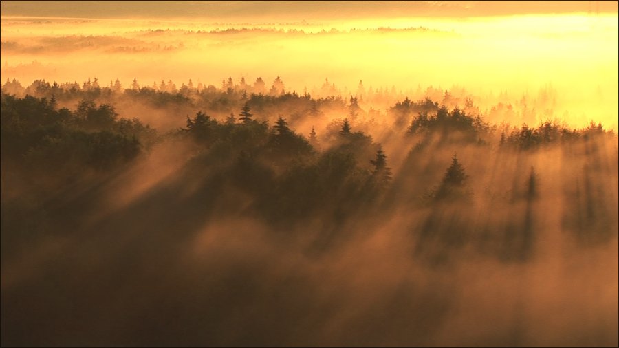 туман, Байдалов Павел