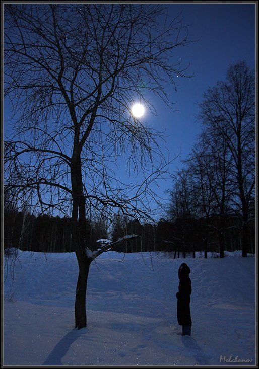 екатеринбург парк снег луна дерево небо девушка звезды, Молчанов Иван