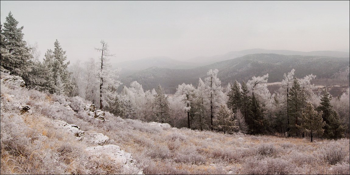 южный урал, ель, изморось, горы, зима, Ann Miller