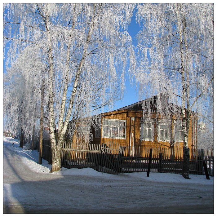 деревня, зима, дом, березка белая, Olga Panteleeva