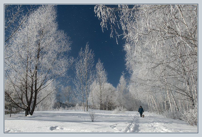 небо, зима, красивые деревья, женщина с собачкой., Сергей Бородин (Minstrel)