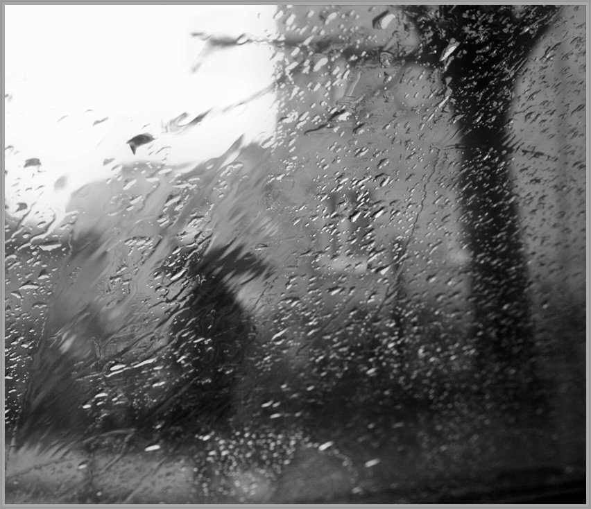 дождь, стекло, зонт, ушла, Павел Дунюшкин