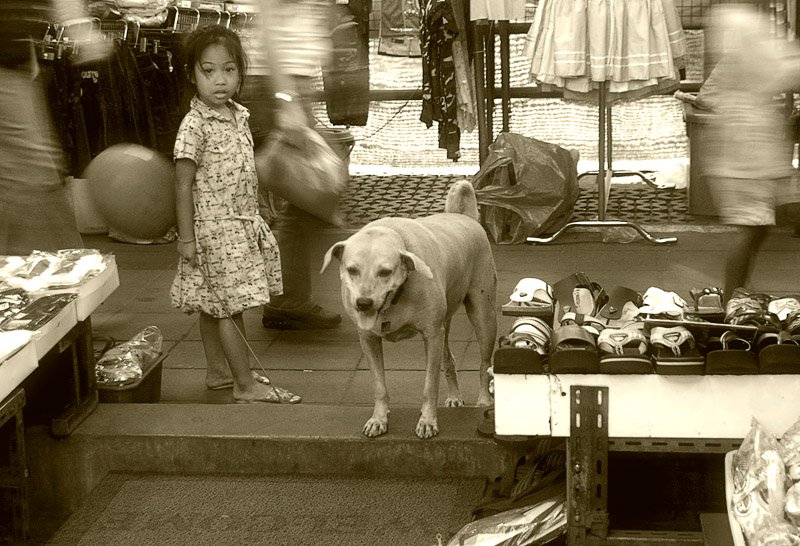 девочка собака бангкок улица магазин, Борис Никитин