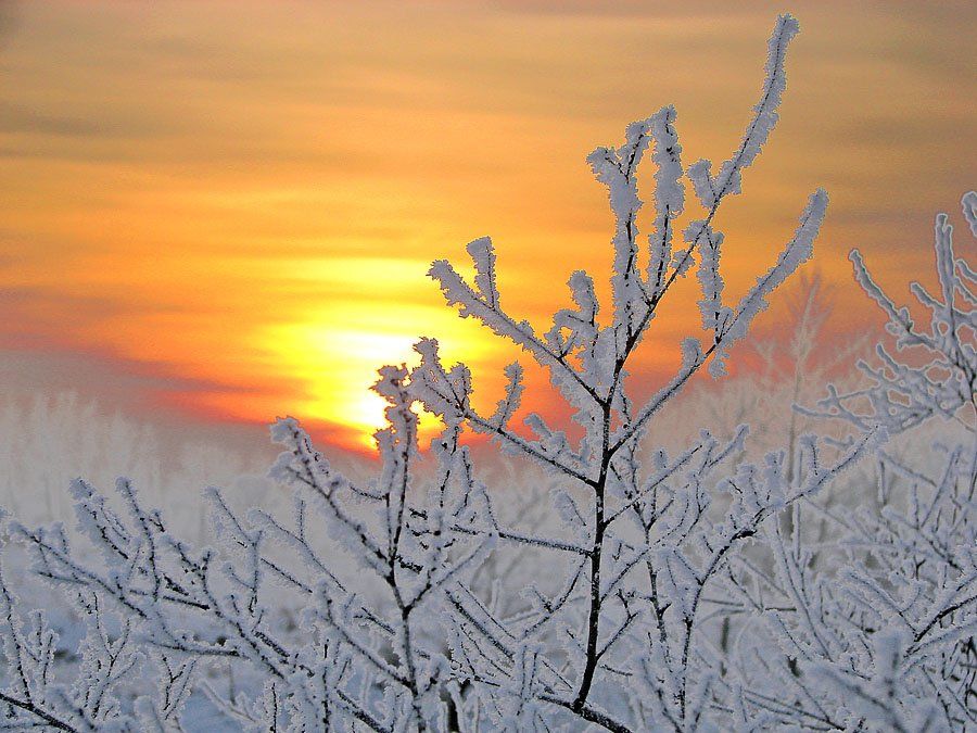 солнце,туман,иний,природа,пейзаж,зима,абакан,хакасия, Олег Клочков