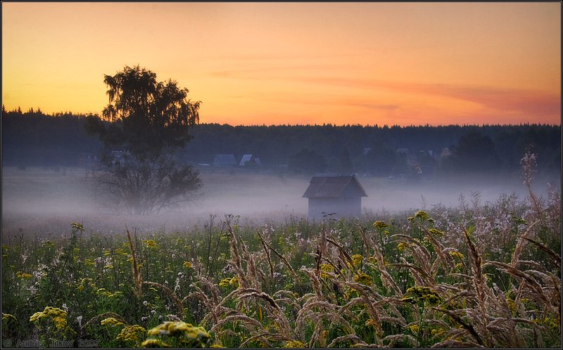 лето, август, утро, рассвет, туман, пейзаж, Андрей Житков
