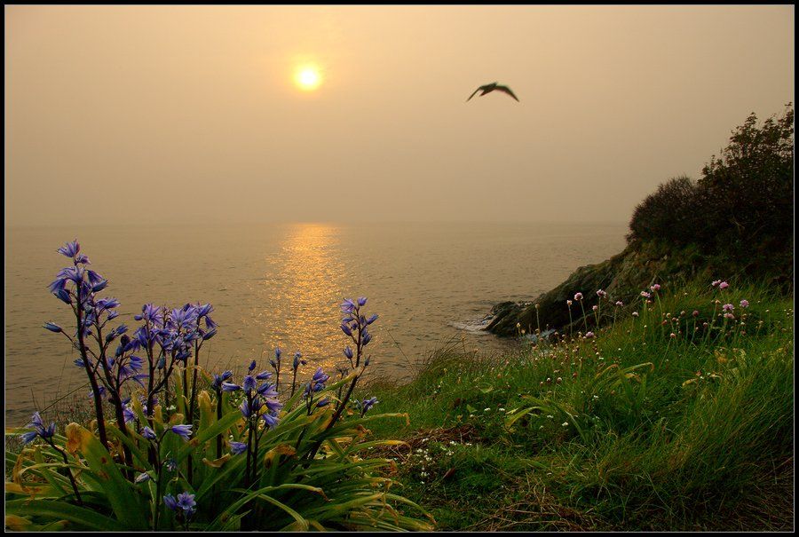 guernsey, утро, Karlis Keisters