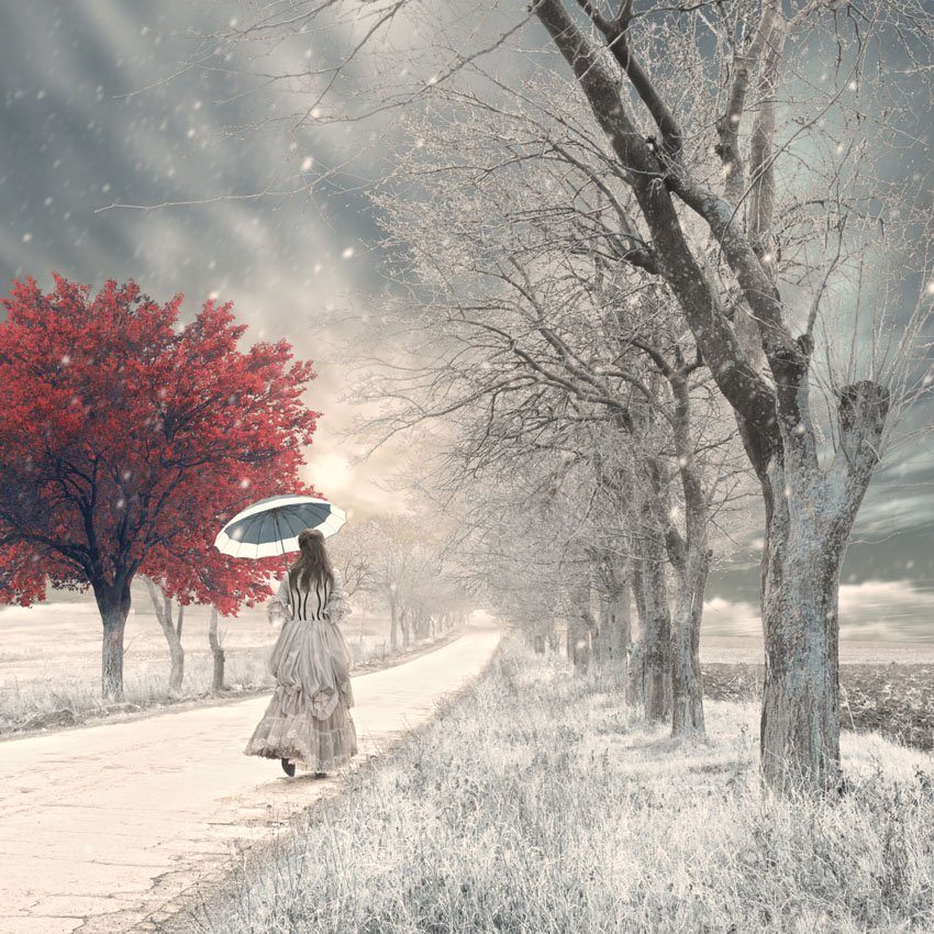alice, tree, red, ice, snow, white, walk, umbrella, alone, mystery, Caras Ionut