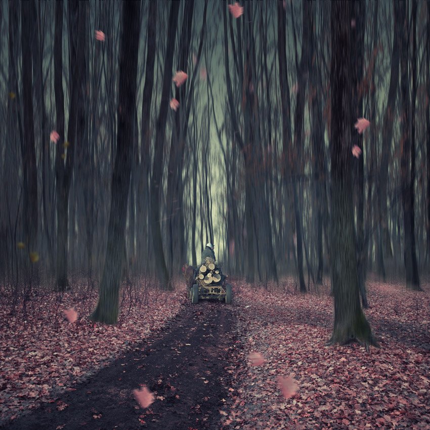 wood, cart, horse, forest, mystery, man, woman,, Caras Ionut