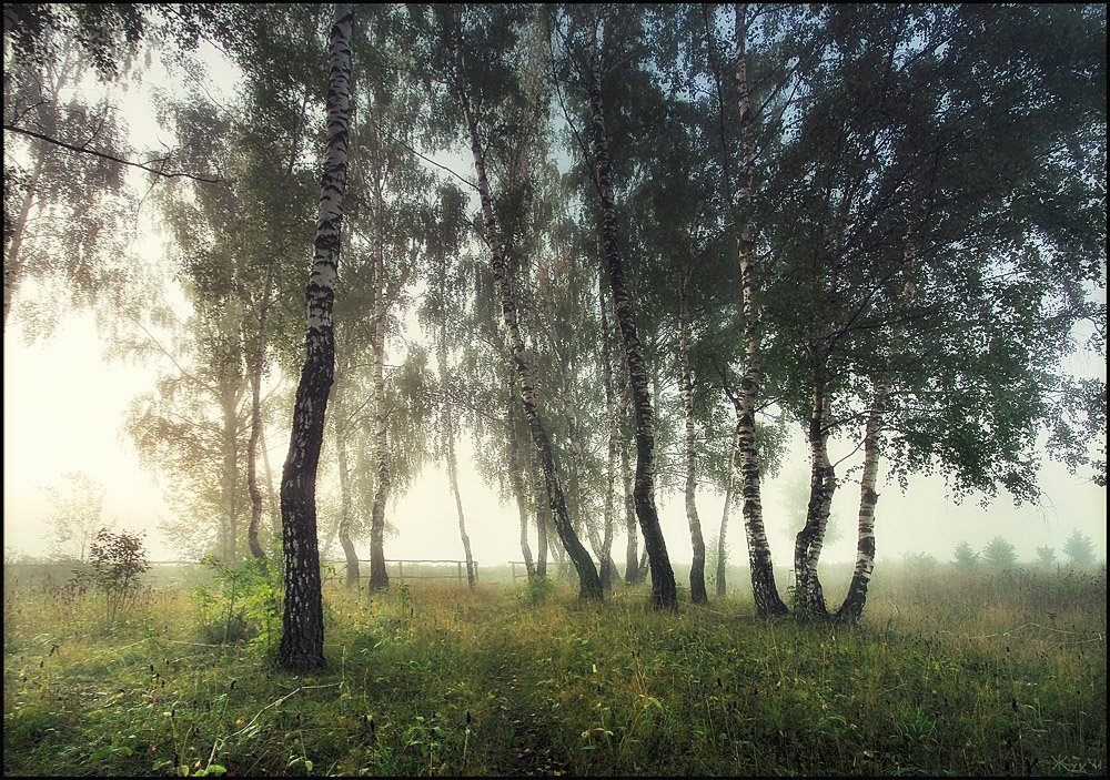 , Владимир Жуков