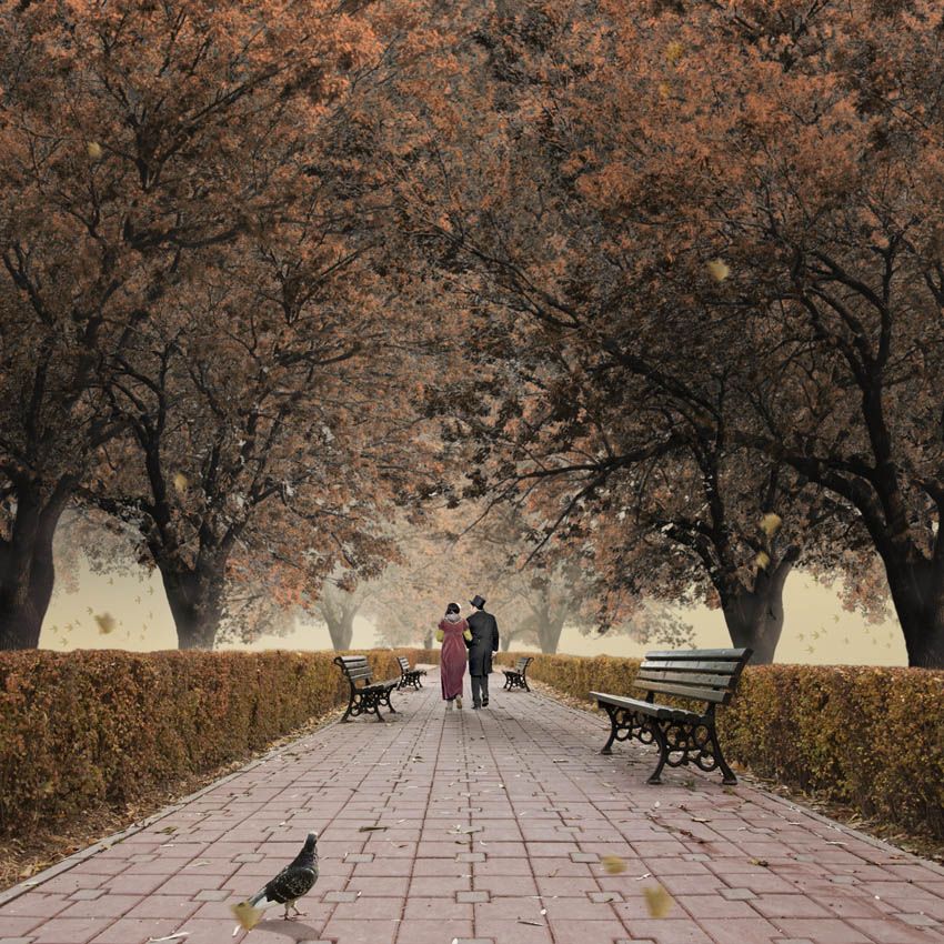 man, woman, dove, walk, autumn, leaf, sun, victorian, old, tree, bench, fantasy, Caras Ionut