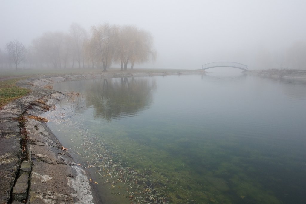 туман, парк, озеро, город, мост, осень, Art Loo