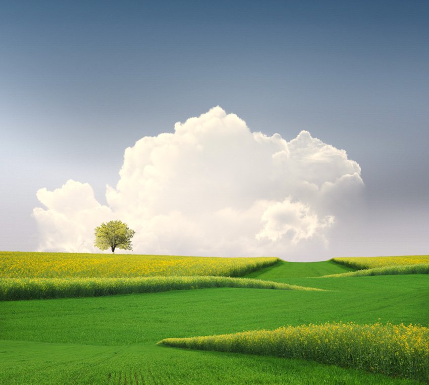 tree, green, yellow, clouds, fantasy, Caras Ionut