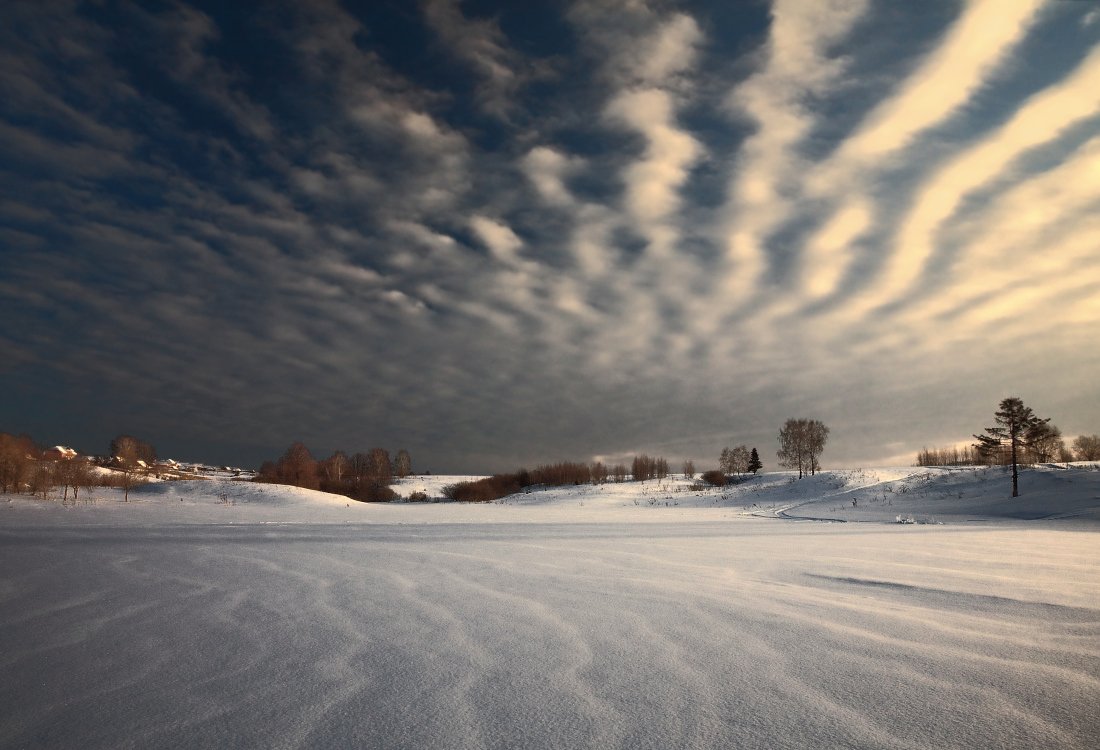 поле, снег, волны, деревья, лес, облака, зима, вечер, Георгий Машковцев