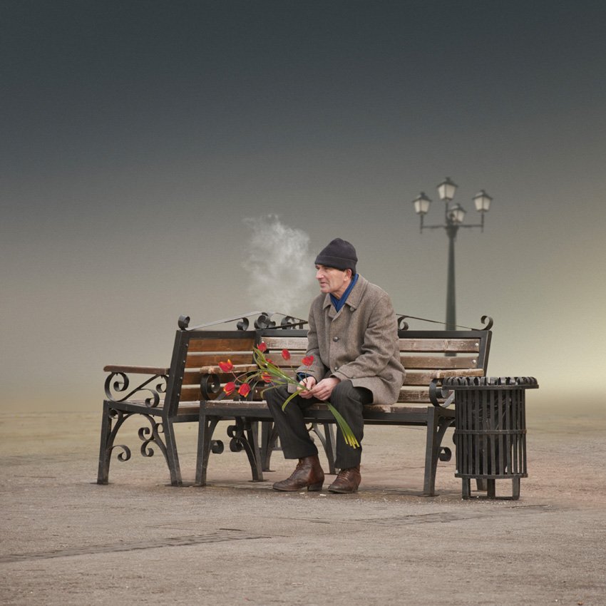 man, bench, flower, rose, steam, alone, light pole, Caras Ionut