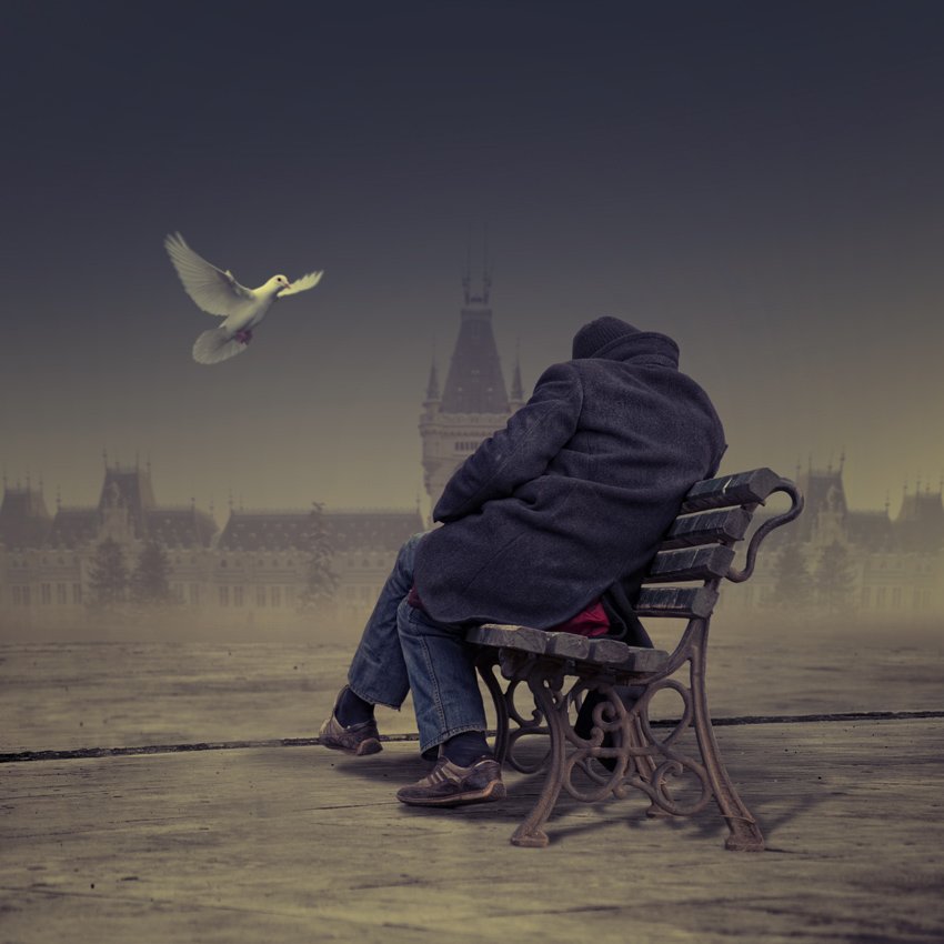dove, white, man, bench, castle, alone, love, shadow, Caras Ionut