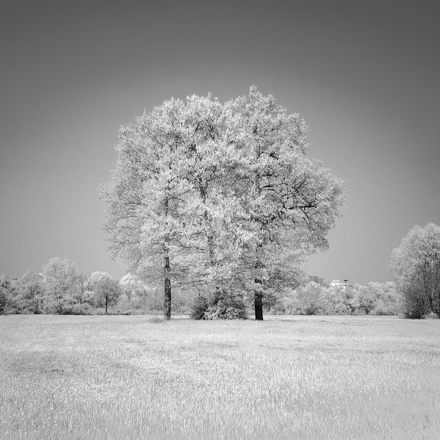 infrared long exposure fineart photography ir simone zeffiro italy countryside, Simone Zeffiro