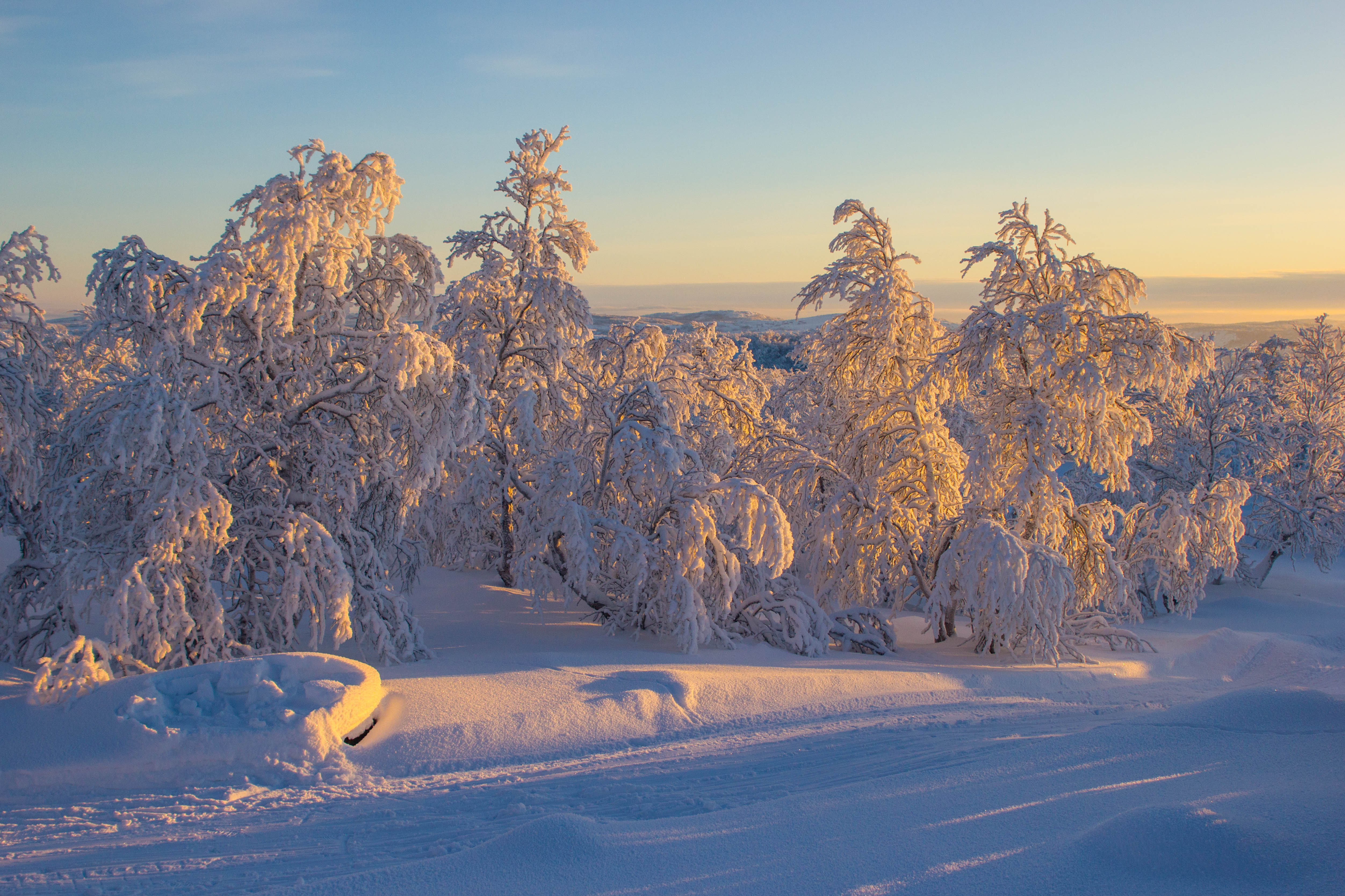 winter, пейзаж, зима, север, мороз, снег, солнце, закат, сугробы, Алёна Салтыкова
