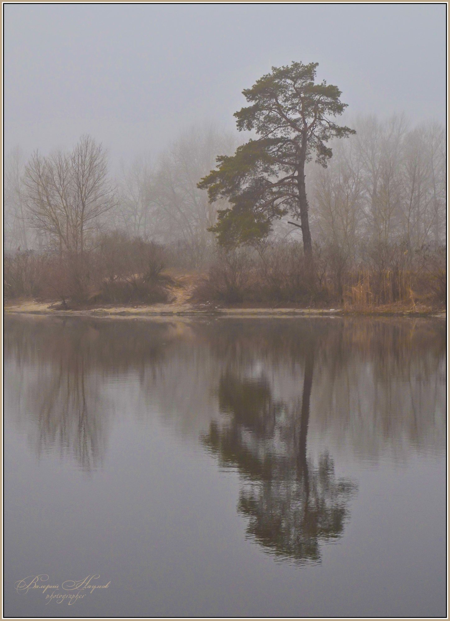 зима, февраль, туман, река, отражение, Валерий Наумов