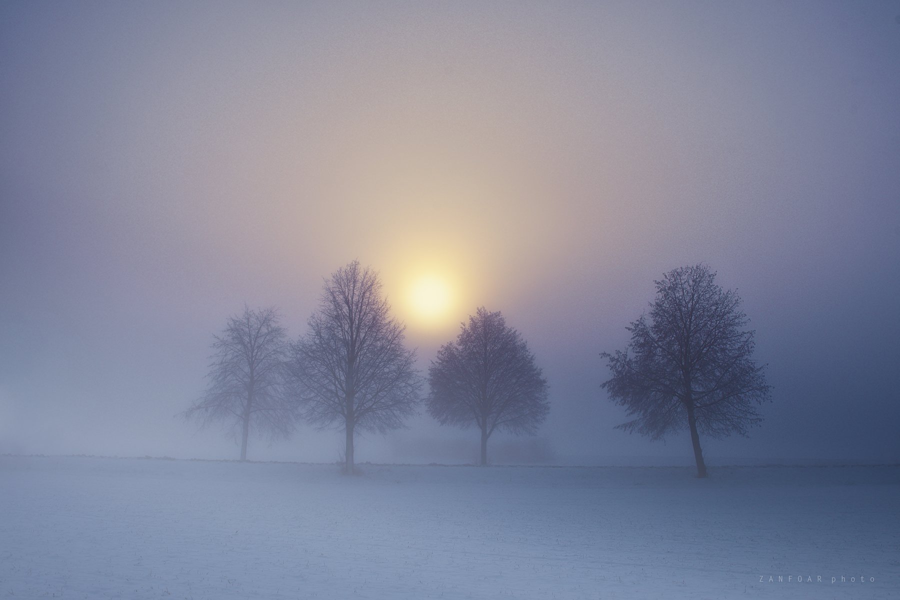 туман,fog,misty,haze,ice,snow,winter,zanfoar,czech republic,nikon d750,чехия, Zanfoar