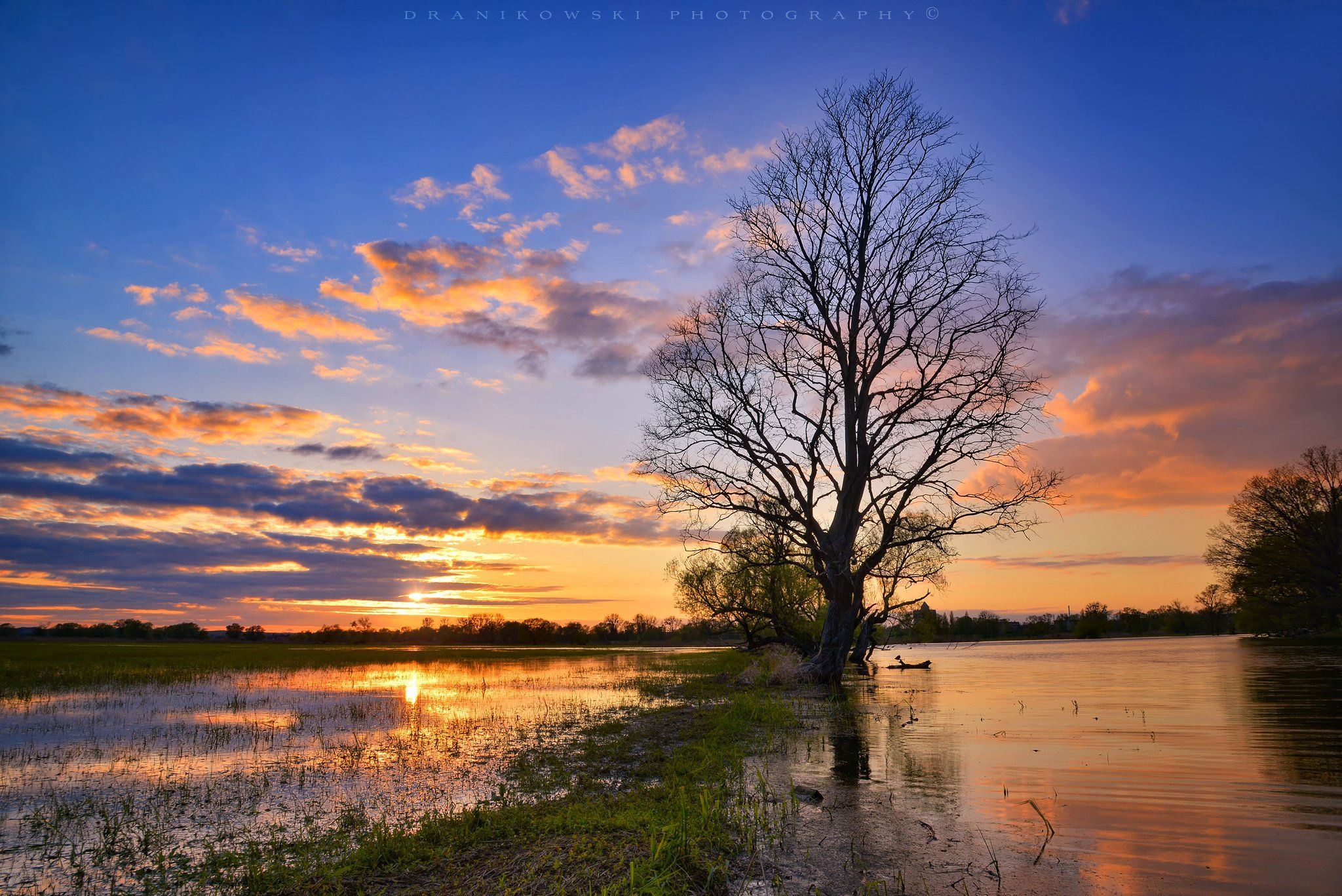 nationalpark unteres odertal water grass tree spring sky clouds dranikowski landscape path sun, Radoslaw Dranikowski