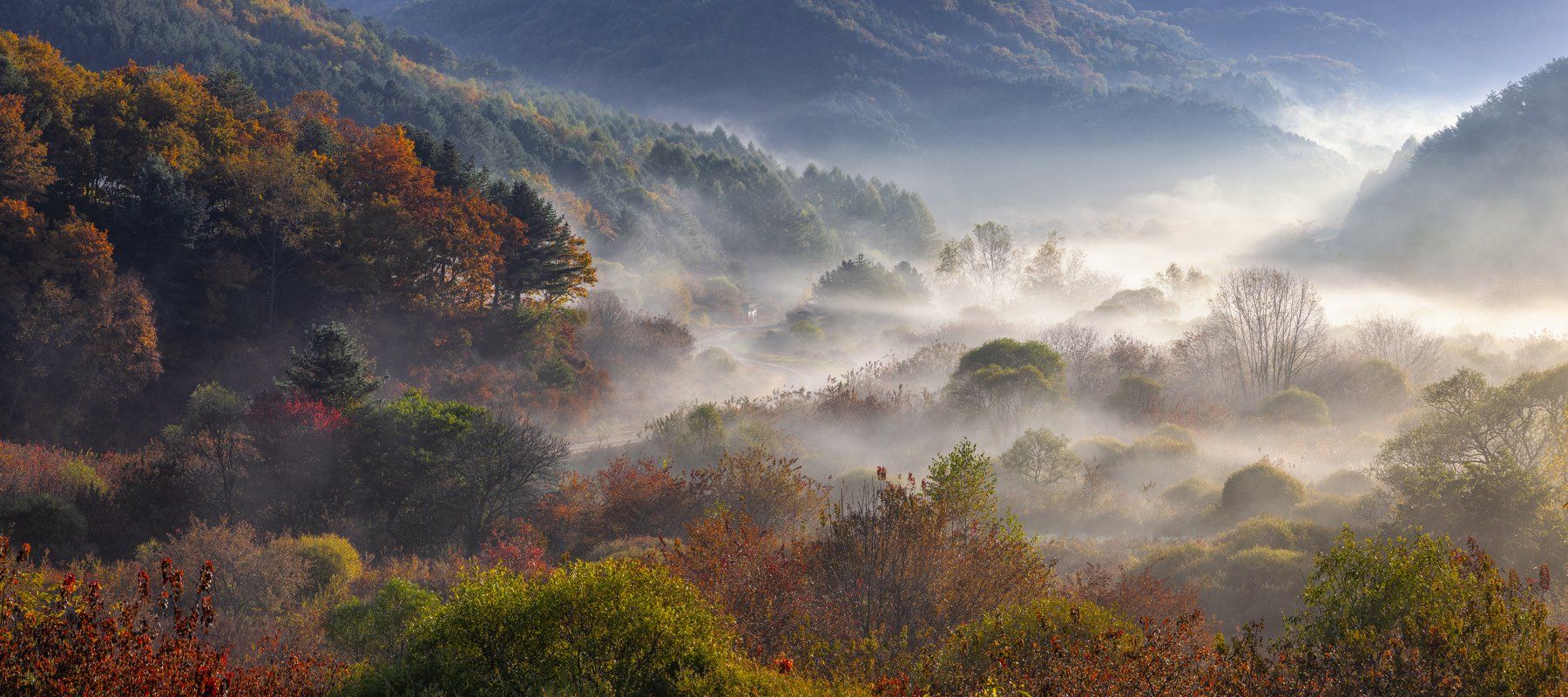 foliage, misty, MOUNTAINS, fog, AUTUMN, dream, Jaeyoun Ryu